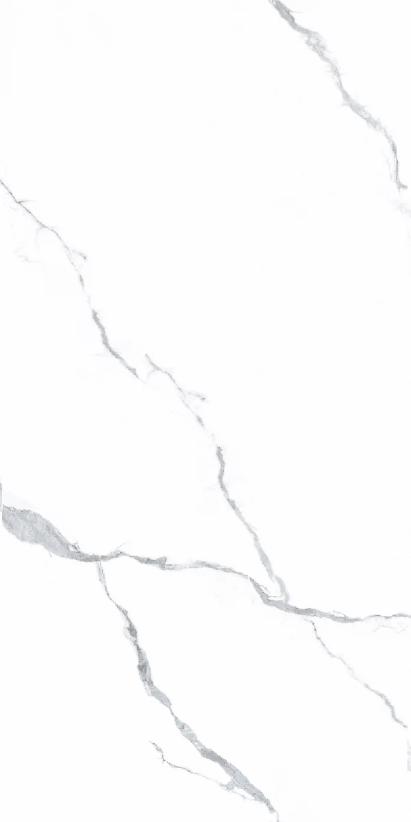face 6